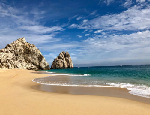 6 Días por Baja California Sur