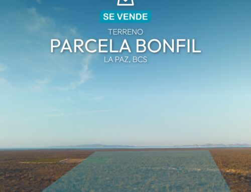 Parcela Bonfil
