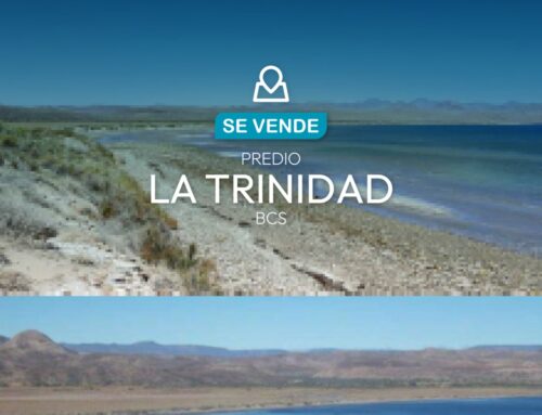 Predio La Trinidad