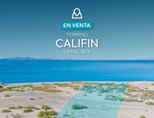 Terreno Califin