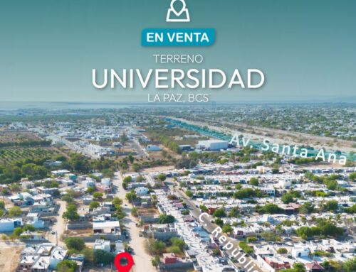 Terreno Universidad