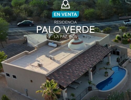 Palo Verde