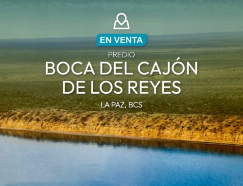 Predio Boca del Cajón de los Reyes
